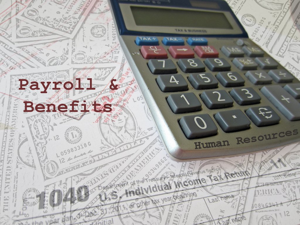 Payroll Services In Canada