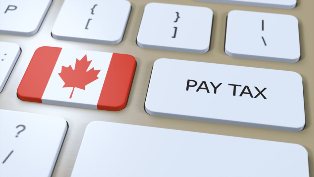 Tax Accountants